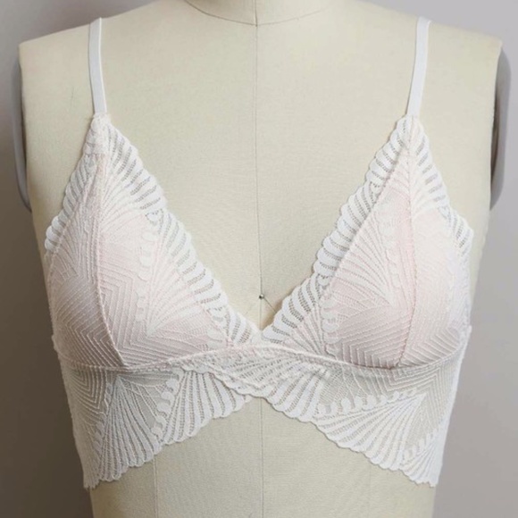 Ivory Butterfly Scalloped Lace Padded Bralette Bra - Picture 6 of 6
